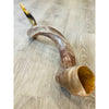 Polished Shofar w. Design