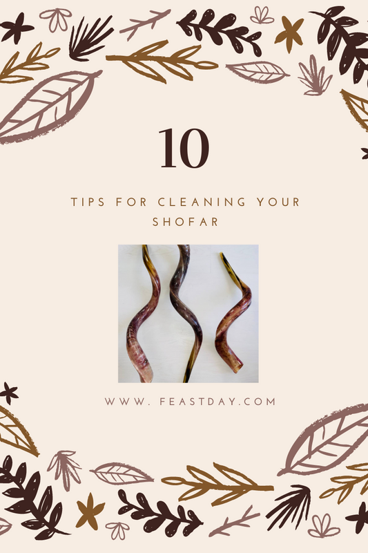 10 Tips for Cleaning Your Shofar