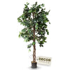 6-ft Artificial Ficus Tree - Office Plant