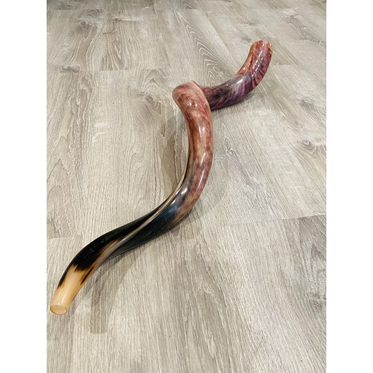 Polished Shofar w. Design