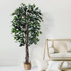 72" Ficus Tree with the Basket