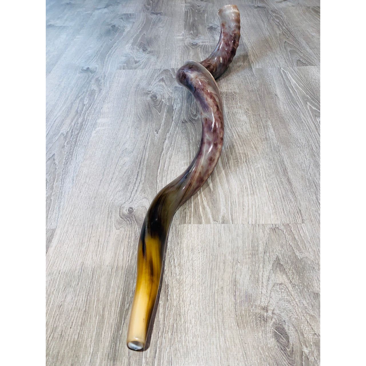 Polished Shofar w. Design