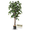 Fake Fiscus Tree 5 ft - Indoor Plant