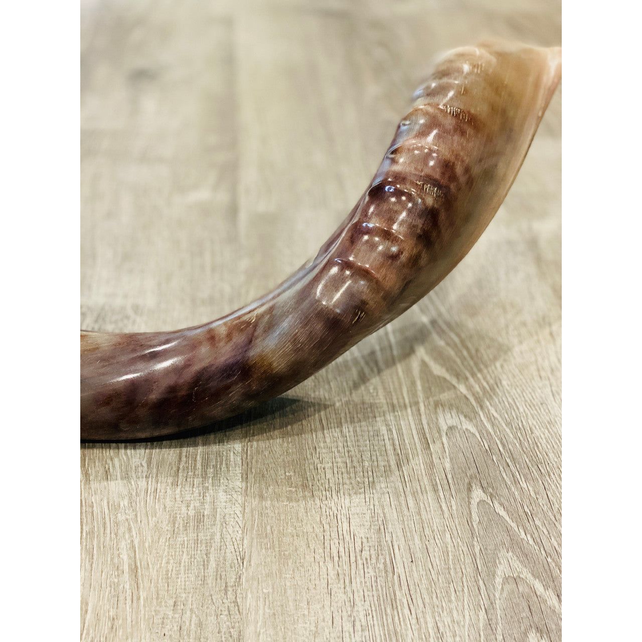 Polished Shofar w. Design