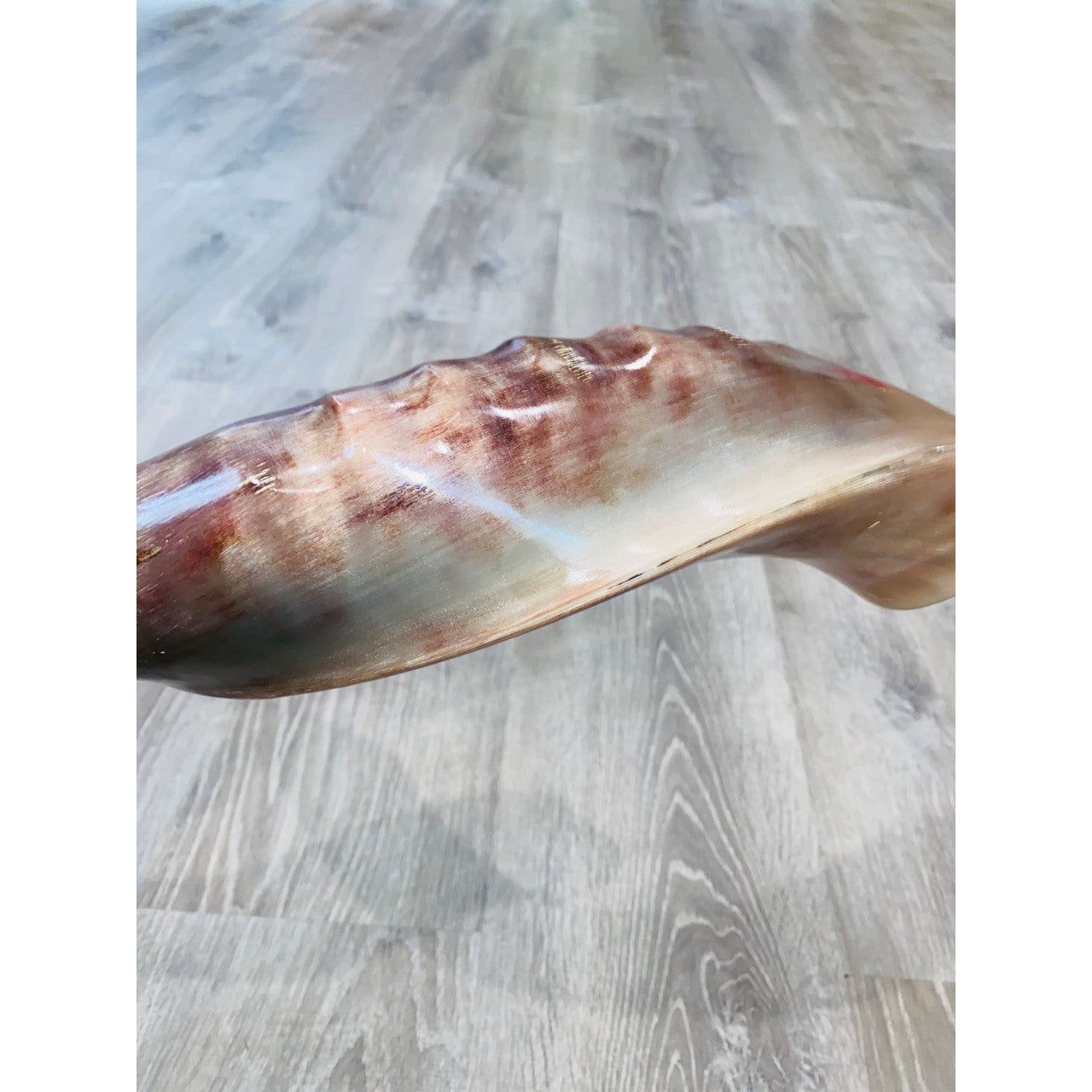 Polished Shofar w. Design
